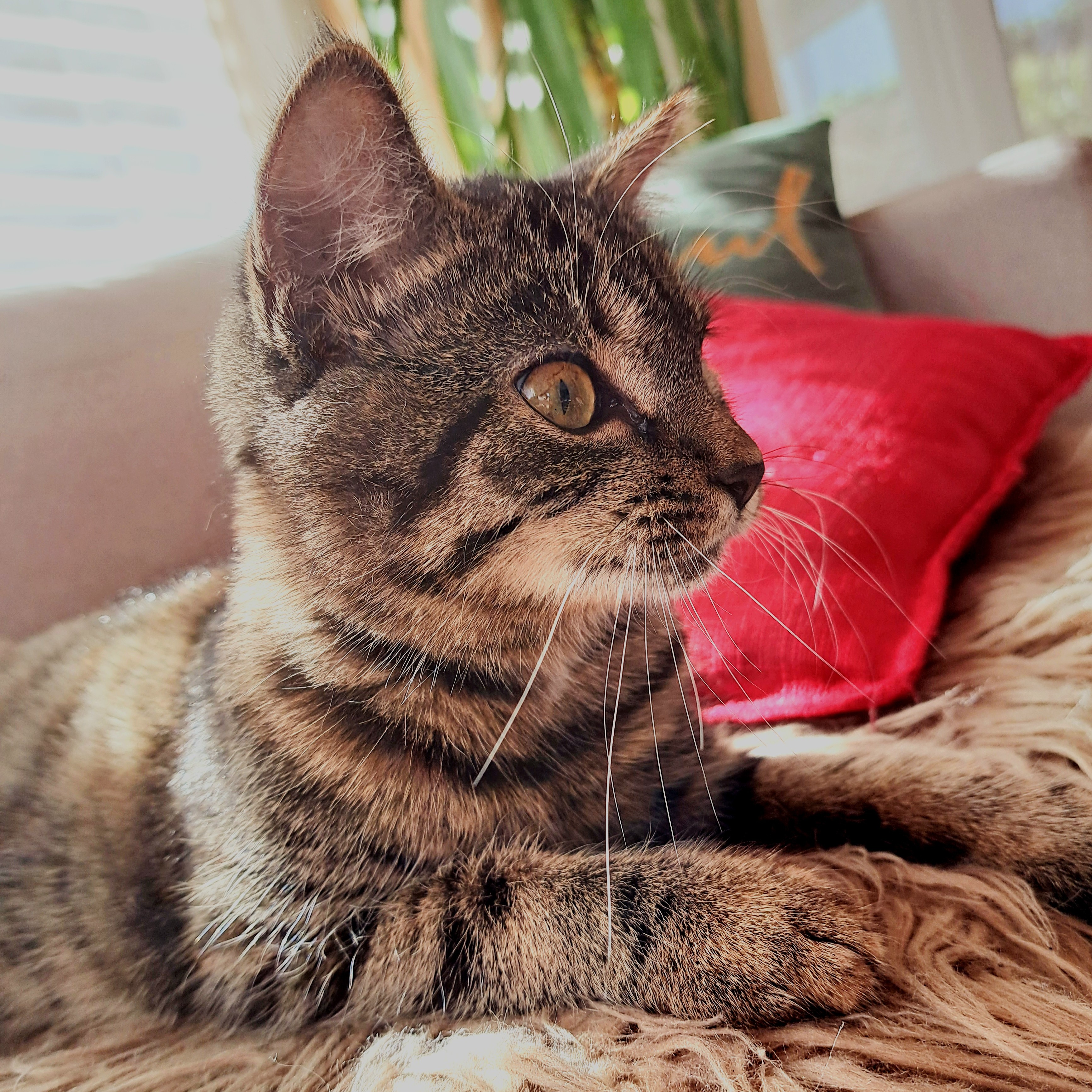 Lucy2